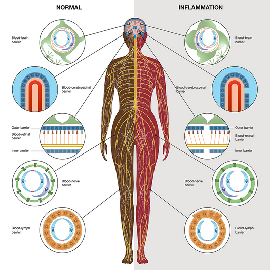 Prevention Over Treatment